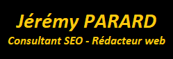 Consultant SEO